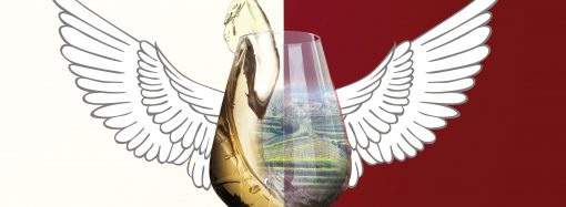 Vini da Terre Estreme – Mogliano Veneto – 30/31 Ottobre 2016